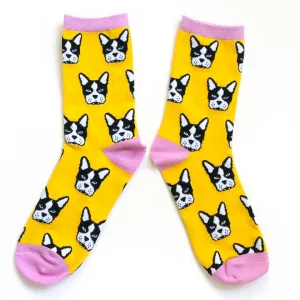 Boston Terrier Socks (Smarty Pants Paper)