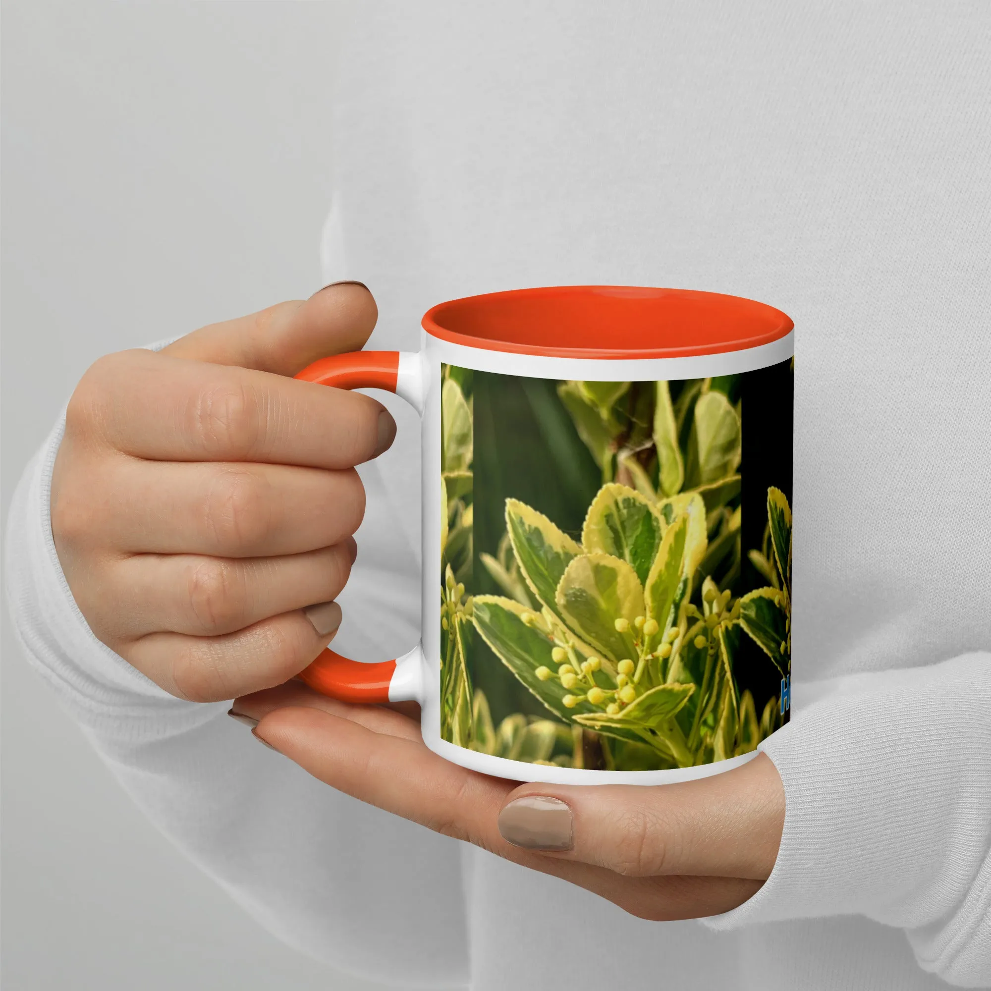 Mug with Color Inside