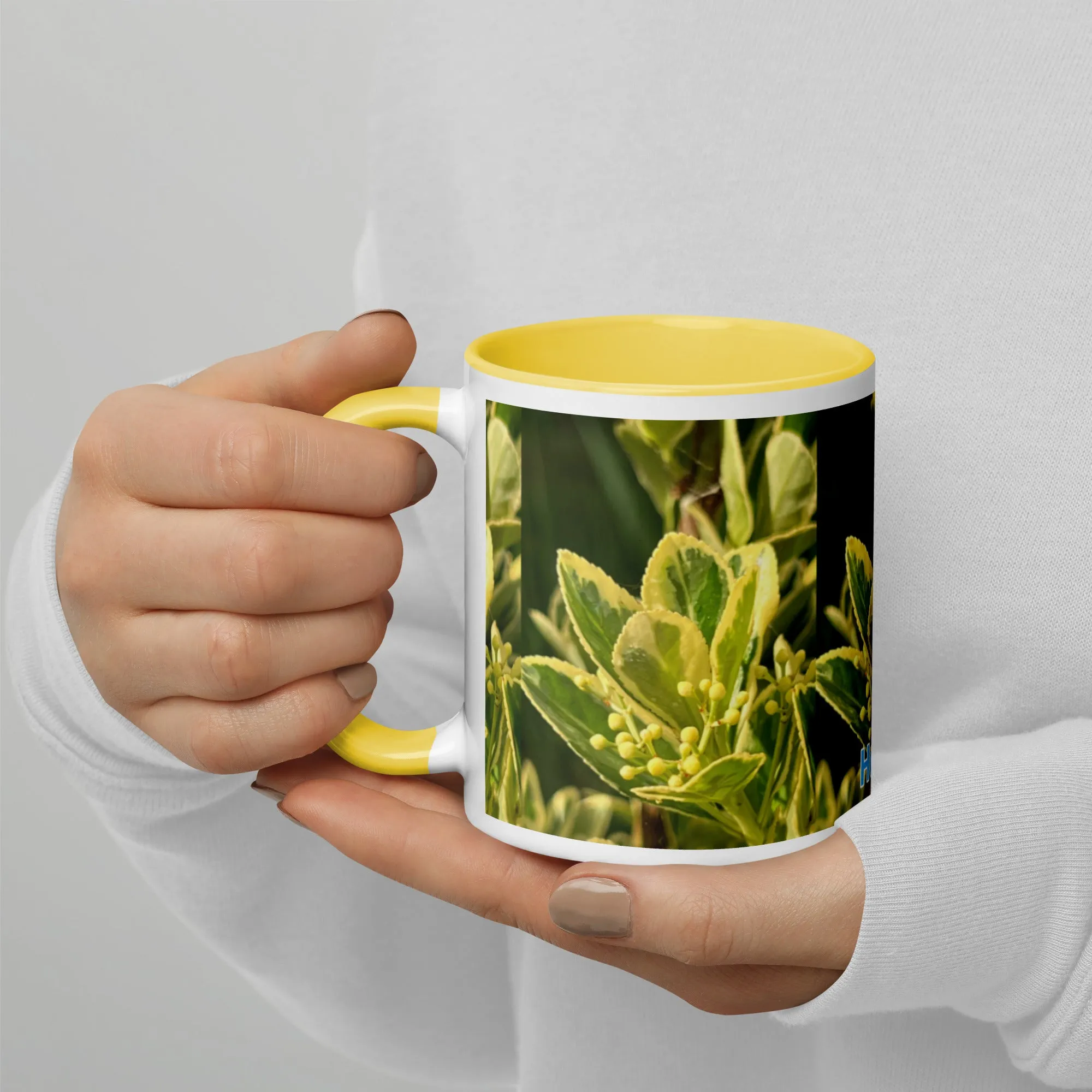 Mug with Color Inside