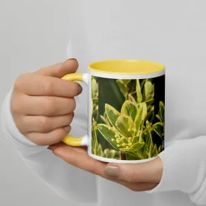 Mug with Color Inside