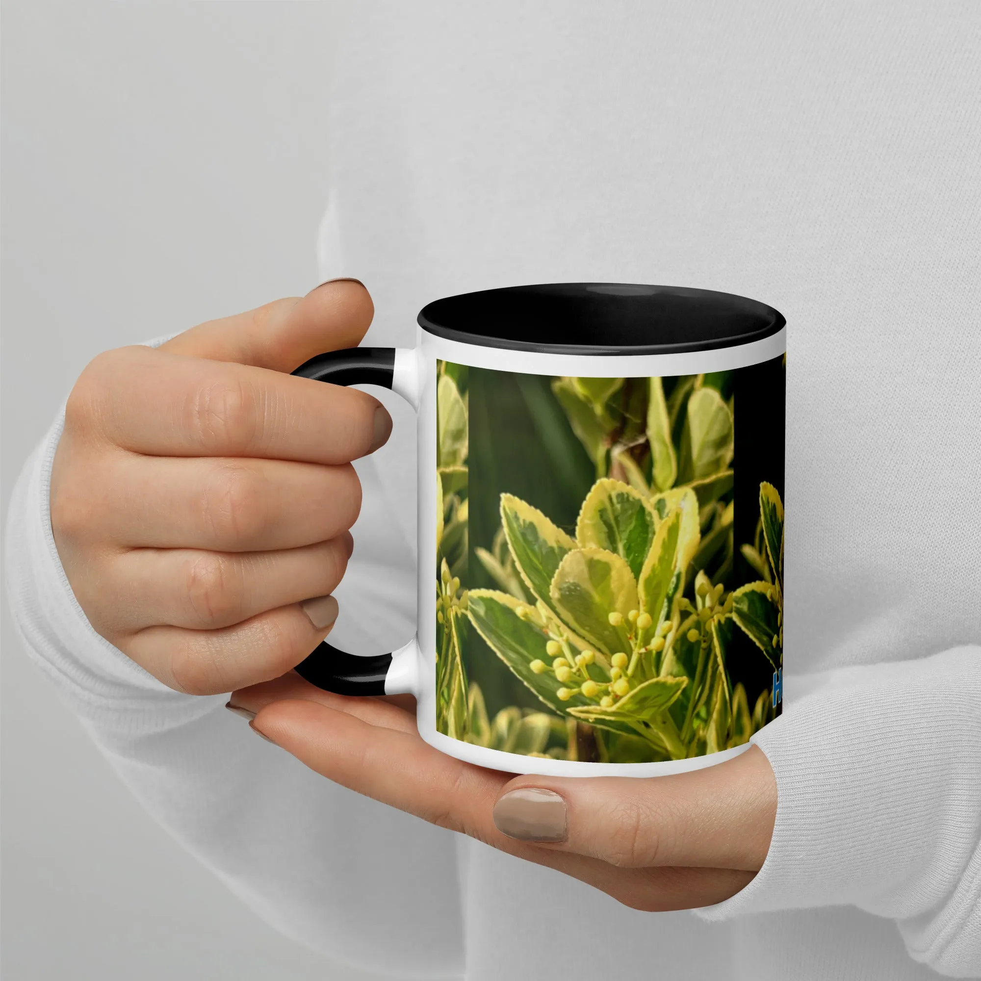 Mug with Color Inside